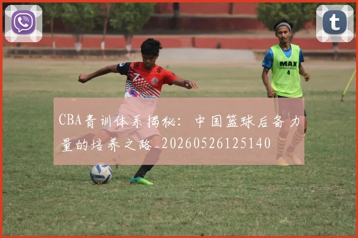 CBA青训体系揭秘:中国篮球后备力量的培养之路_20260526125140