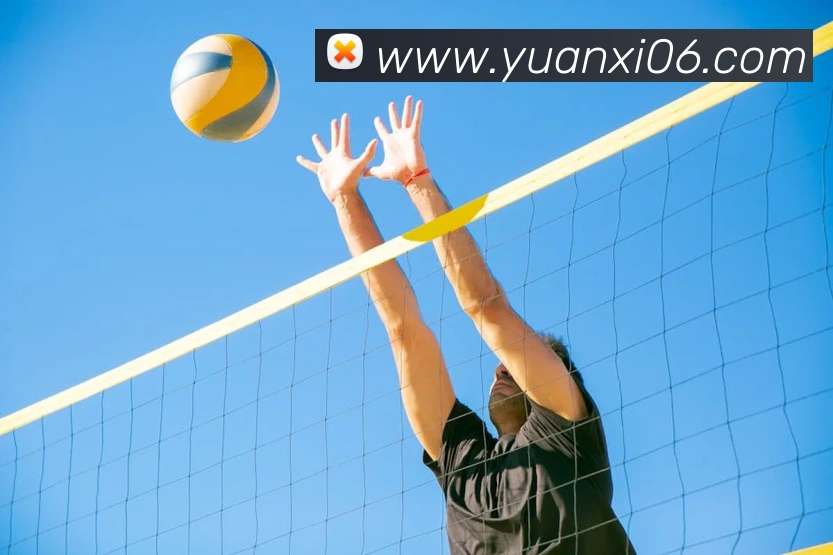 爱游戏ayx体育APP 封面图